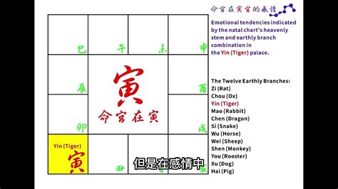 三台八座命宮|紫微斗數筆記: 三台 八座